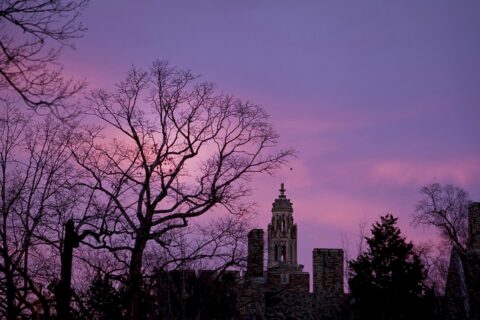 a purple winter sunset with trees and buildings with gothic architecture in the foreground