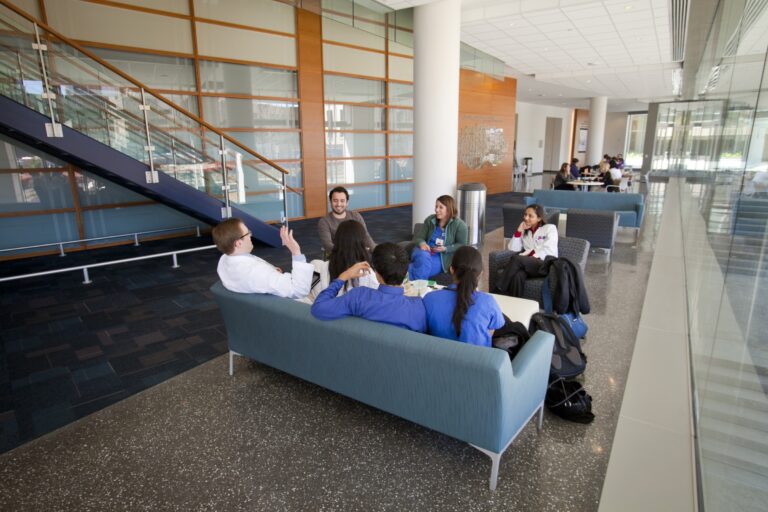 relaxed medical students sitting on sofas and chairs talking