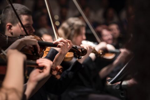 people playing violin inside a dim room