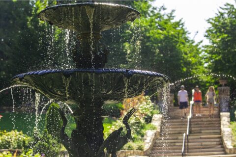 water fountain sculpture in a botanical garden on a bright, sunny day
