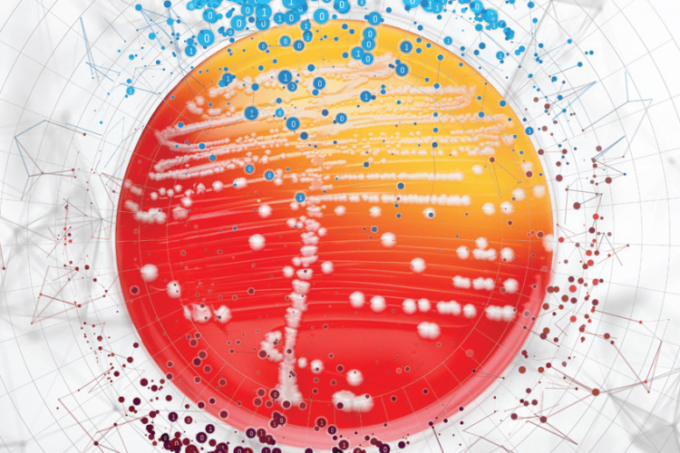 stylistic image representing gleaning data from bacterial growth on agar